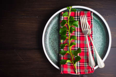 Rustic table setting with vintage ceramic plates and branch of ivy plant on dark old wooden table with copyspaceの写真素材