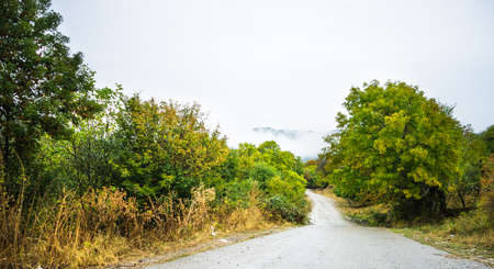 Road in rainy autumnal landscape in Caucasus mountain in Kakheti, wine region of Georgiaの写真素材