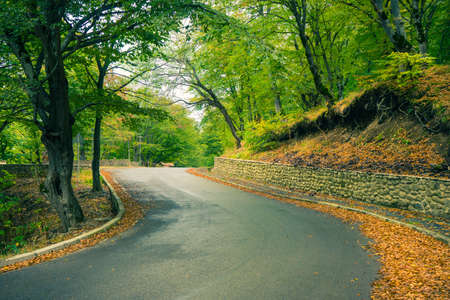 Road in rainy autumnal landscape in Caucasus mountain in Kakheti, wine region of Georgiaの写真素材