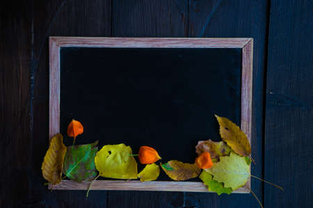 Autumnal frame with leaves