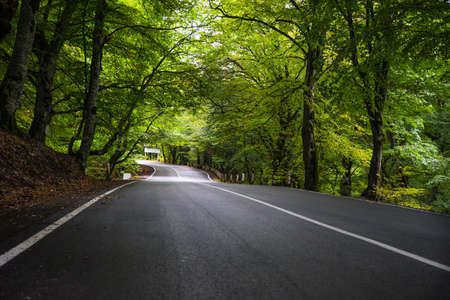Road in rainy autumnal landscape in Caucasus mountain in Kakheti, wine region of Georgiaの写真素材