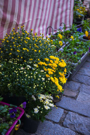 08 October, 2017, Tbilisi city day - Tbilisoba - celebration, autumnal holiday.の写真素材