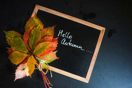 Bright autumnal leaves on chalkboard with copyspaceの写真素材