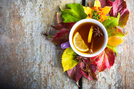 Autumnal concept with cup of tea with lemon, cinnamon stick and anise star on rustic wooden  background full of bright yellow leavesの写真素材