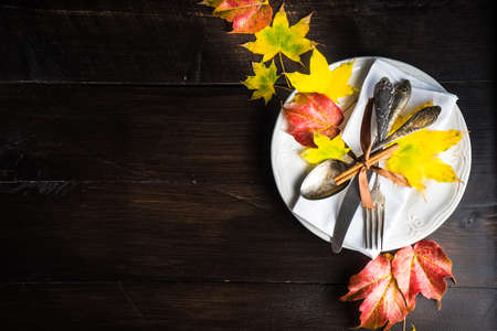 Autumnal table setting with bright red and orange wild berries on rustic background with copyspace