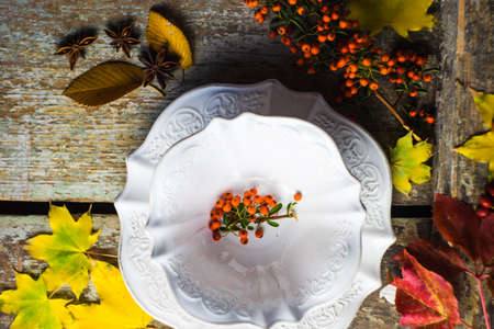 Autumnal table setting with bright red and orange wild berries on rustic background with copyspaceの写真素材