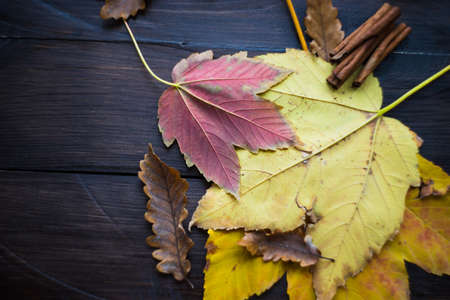 Bright yellow and red leaves on rustic wooden background as an autumnal conceptの写真素材