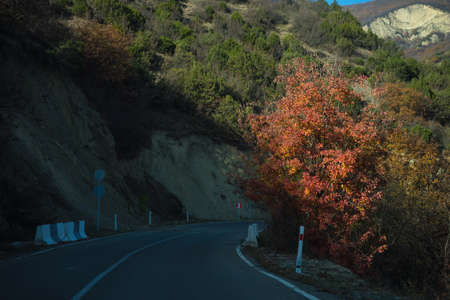 Road in autumnal landscape in Caucasus mountain in Georgiaの写真素材