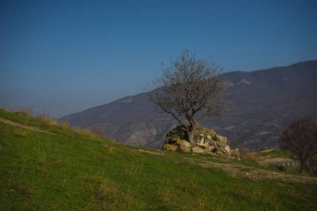 Landscape of Jvari monastery , one of the most famous georgian  landmark