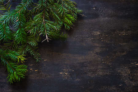 Christmas holiday concept with snow, fir tree and berries on rustic background