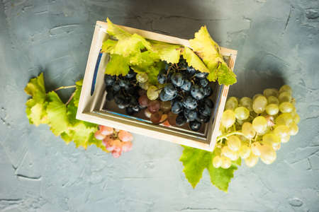 Fresh ripe grape with leaves in a rustic wooden box on grey concrete background with copyspace