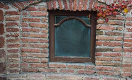 Window covered with wild grape in historical part of Tbilisi, Georgia