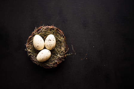 Nest with eggs as a Easter holiday concept with copyspace