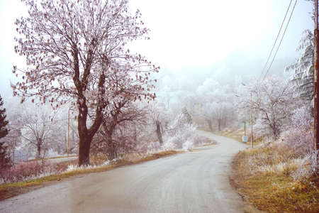 Winter landscape - trees covered with ice and rural road in Georgia, Caucasus area