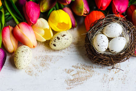 Tulis and eggs on rustic wooden board as a Easter card concept with copy space