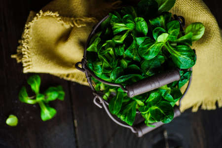 Healthy food concept -  corn salad leaves on rustic background wih copyspaceの写真素材