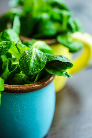 Healthy food concept -  corn salad leaves on rustic background wih copyspaceの写真素材