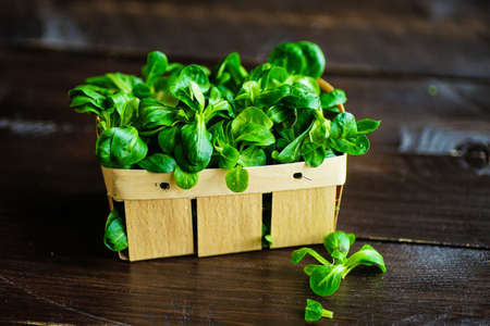 Healthy food concept -  corn salad leaves on rustic background wih copyspaceの写真素材