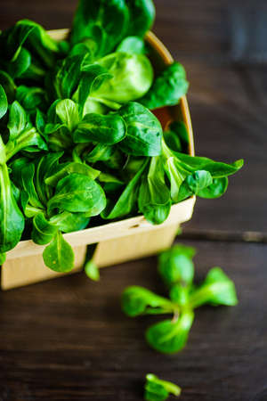 Healthy food concept -  corn salad leaves on rustic background wih copyspaceの写真素材