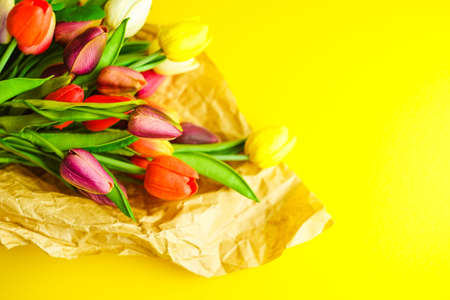 Spring card with tulip flowers on bright yellow background with copy spaceの写真素材