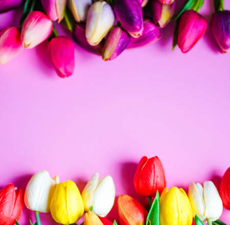 Spring card with tulip flowers on bright pink background with copy space
