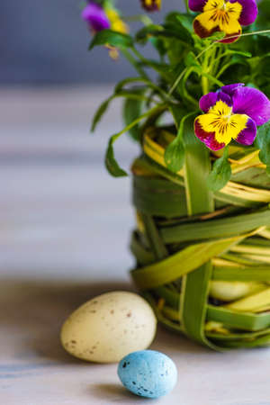 First spring flowers in a pot as a spring interior concept with copy space