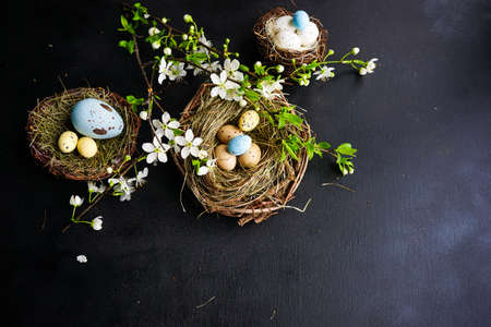 Easter holiday card with easter eggs and birds on rustic wooden background with copy spaceの写真素材