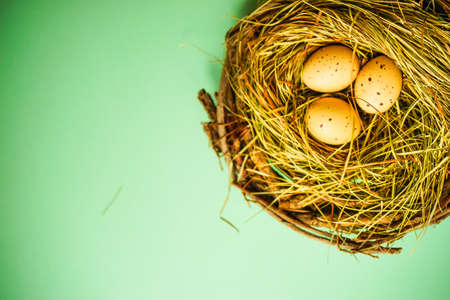Easter concept with nest and eggsの写真素材