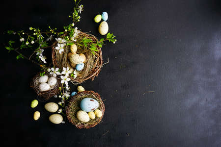 Easter holiday card with easter eggs and birds on rustic wooden background with copy spaceの写真素材