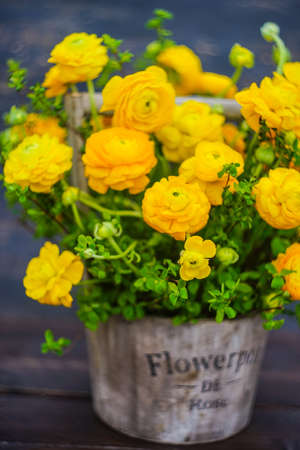 Summer bouquet with bright yellow flowers on rustic background with copyspaceの写真素材