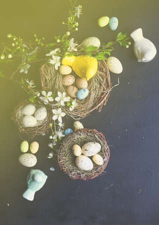 Easter holiday card with easter eggs and birds on rustic wooden background with copy space