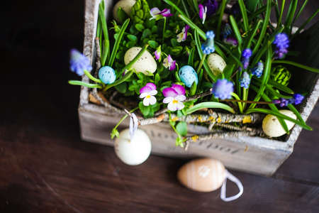 Spring floral concept with muscari flowers in a basket on dark wooden backgroundの写真素材