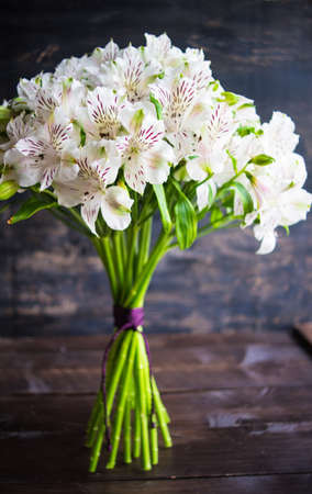 White Lily of the Incas in a bunch on rustic background with copyspaceの写真素材