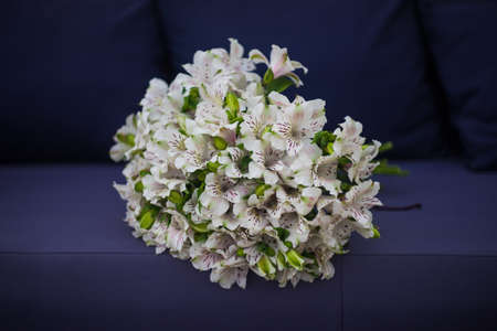 White Lily of the Incas in a bunch on rustic background with copyspaceの写真素材