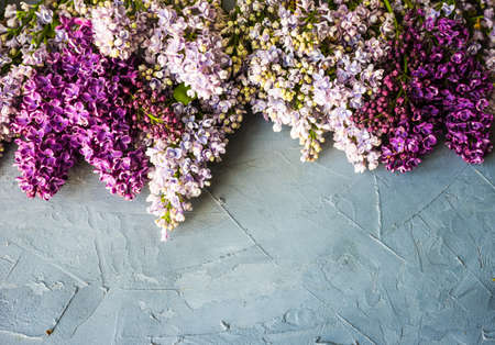 Spring lilac flowers in floral frame on concrete background with copy spaceの写真素材