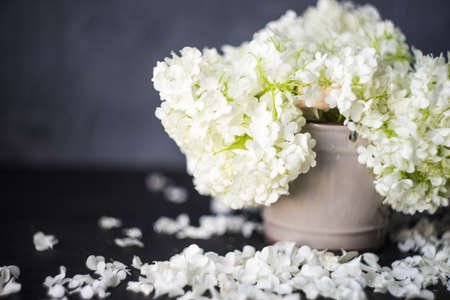 Flower composition with Viburnum opulus 'Roseum' in vase a interior decoration