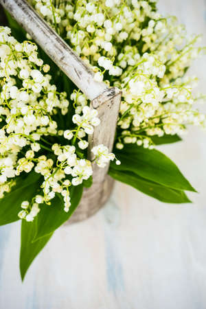 Spring floral card concept with white may lily flowers on rustic background with copy spaceの写真素材
