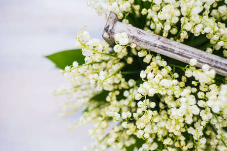 Spring floral card concept with white may lily flowers on rustic background with copy spaceの写真素材