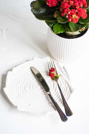Summertime floral table setting with red kalanhoe flower on white concrete background