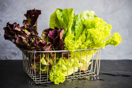 Organic food concept with raw fresh lettuce and romano salad leaves on rustic background