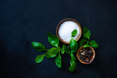 Cooking concept with spices, oil and basil herb on dark background with copy spaceの写真素材