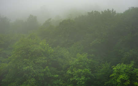Great Caucasus mountain range foggy landscape