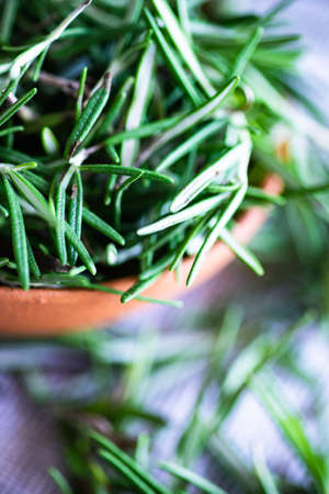 Rustic bowl full of rosemary herb on textile backgroundの写真素材