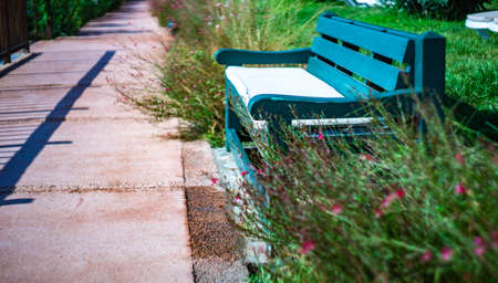 Green garden bench on beachside as a place to relax
