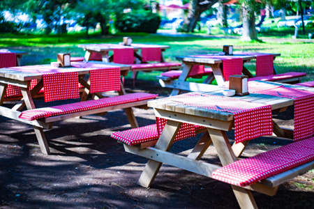Garden party served table with cutlery in coutryside style
