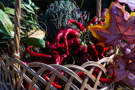 Food concept with dried red chilli pepper