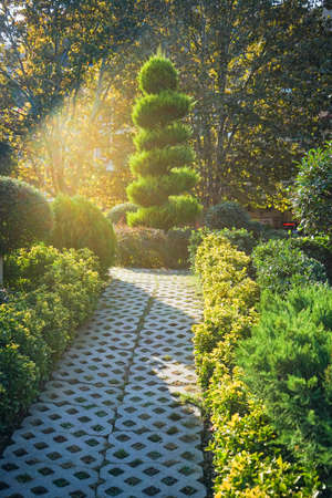 Autumnal park in old part of Tbilisi, Georgiaの写真素材