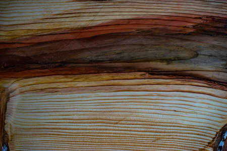 Wooden texture background with natural view