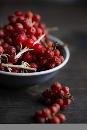 Organic food concept with bowl full of shepherdia or bullberries on wooden background with copy...