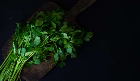 Fresh organic coriander herb on vintage wooden cutting board with copy spaceの写真素材
